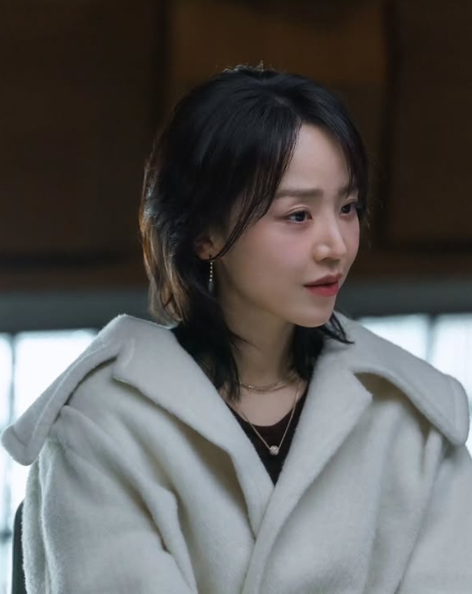 Netflix Murder Mystery Series -1-2-3-4