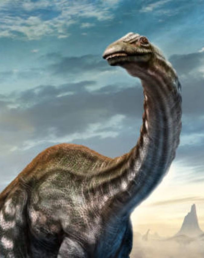 Netflix -1-2-3-4-5-6