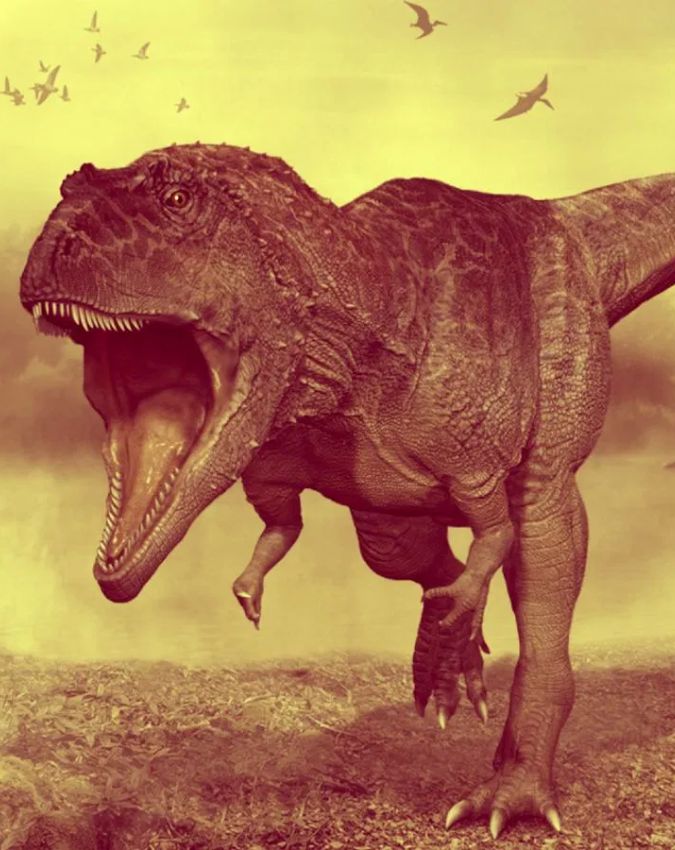 Netflix -1-2-3-4-5-6-7