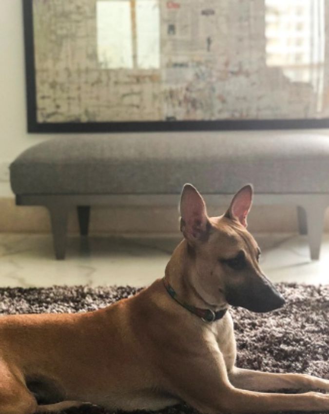 Dhurandhar 2 -1-2-3-4-5-6-7