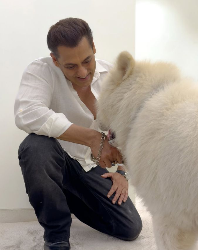 salman khan -1-2-3