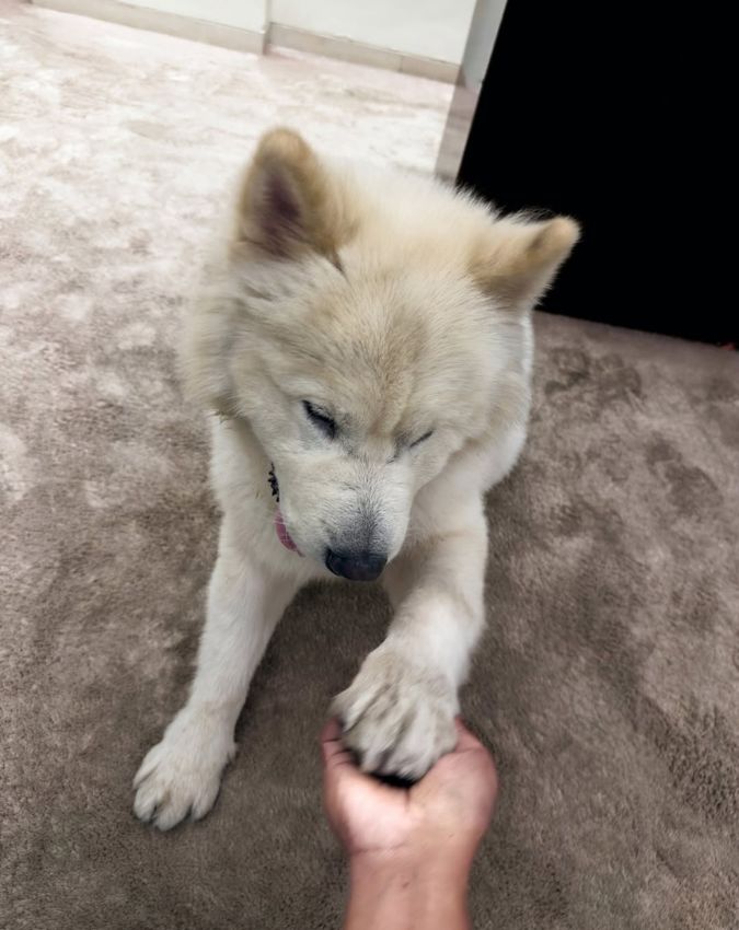 salman khan -1-2-3-4-5-6