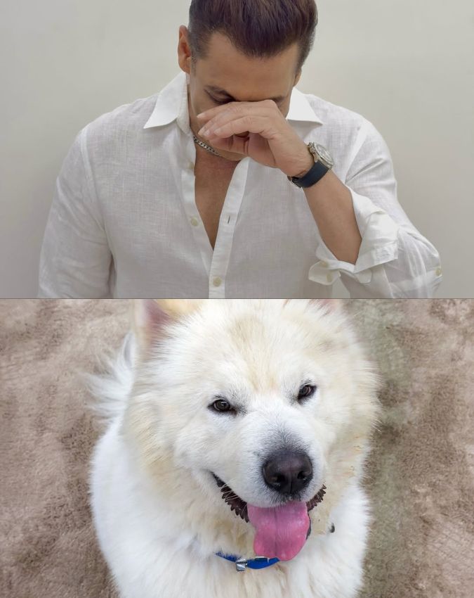 salman khan -1-2-3-4