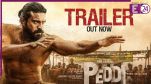 Peddi Trailer
