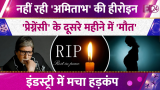 Amitabh bachchan heroine soundarya
