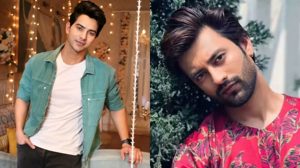 Aashay Mishra To Replace Rohit Chandel In StarPlus' Sairaab