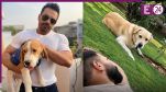 Gaurav Taneja dog controversy