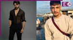 Vishal Aditya Singh-Asim Riaz