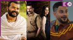 hanuman ansh vs daayra and vibe box office collection